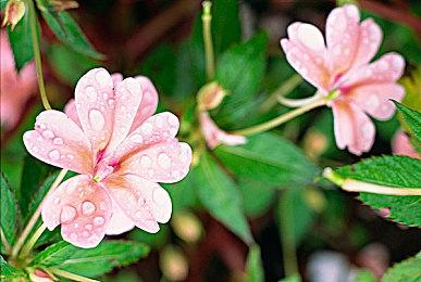 《星空》发布1.14.74测试版更新 Xbox Series X恢复无上限帧率